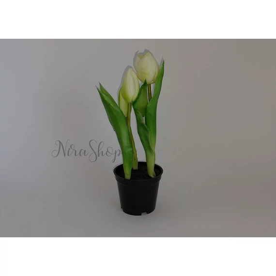 Cserepes gumi tulipán-25cm