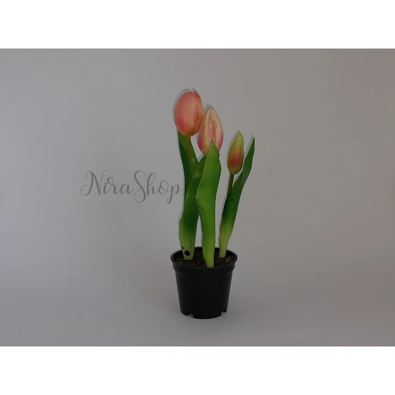 Cserepes gumi tulipán-25cm